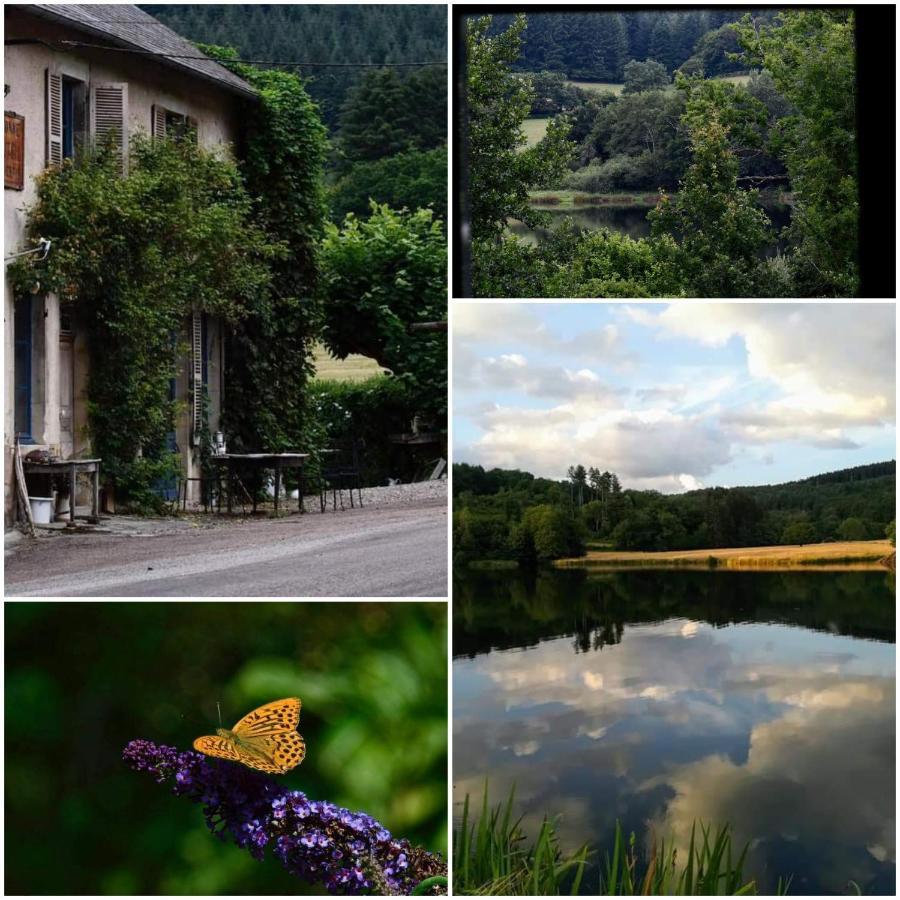 Chambres D'Hotes A L'Etang D'Yonne Arleuf Exterior photo